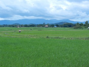 The cozy Lan Na landscape, near Nan, Thailand.