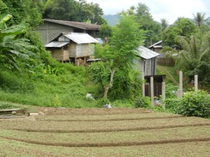 A village in the mountains of Laos.