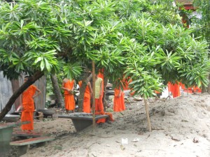 Buddhist monks and nature harmonizing in Luang Prabang, Laos.